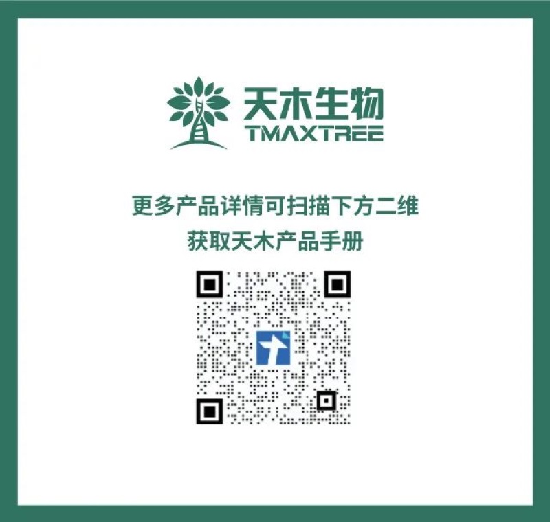 圖片5